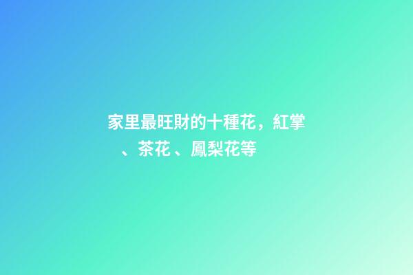 家里最旺財的十種花，紅掌、茶花、鳳梨花等
